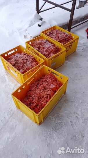 Корм для собак и кошек. Цена на эту неделю