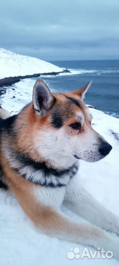 Туры териберка Экскурсия Мурманск