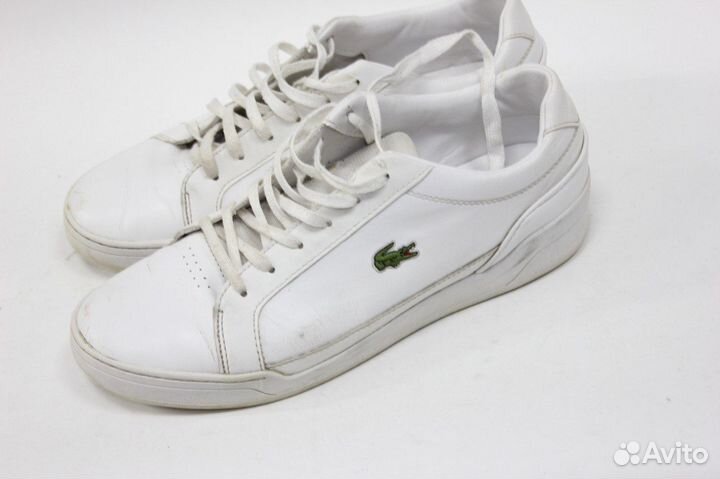 Мужские кеды lacoste