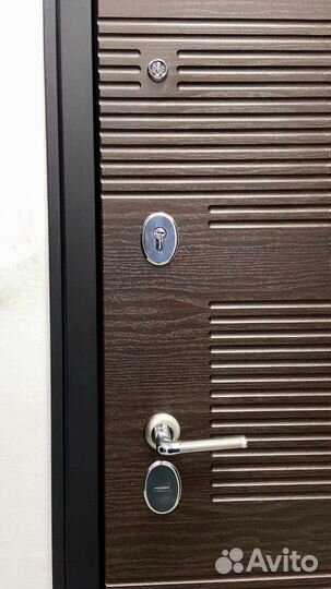 Дверь металлическая