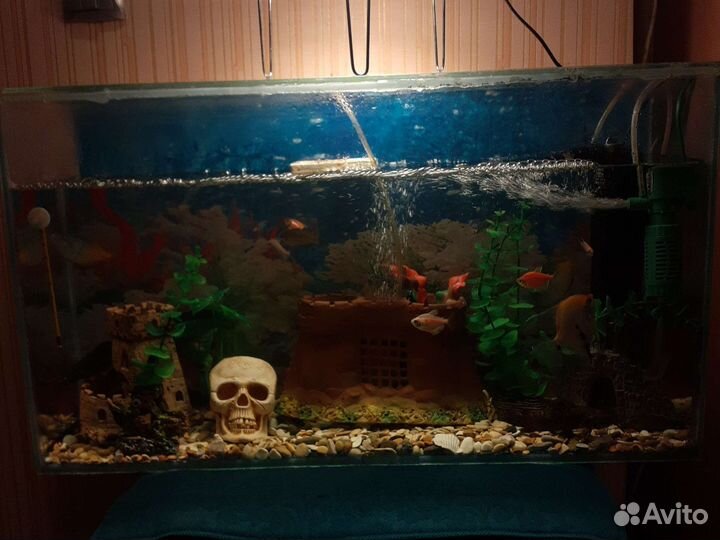 Аквариум