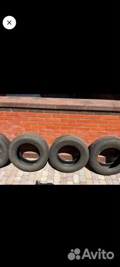 Triangle Snow-LL01 215/70 R16