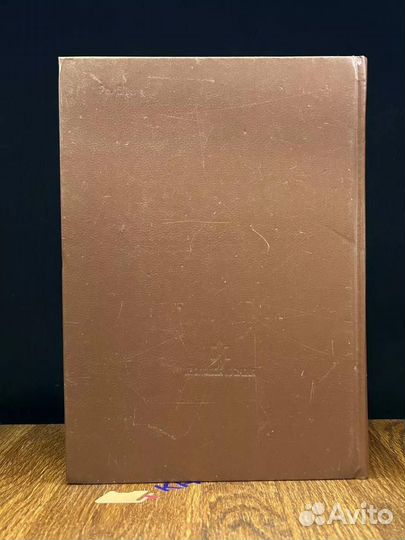 Овраги. Васька