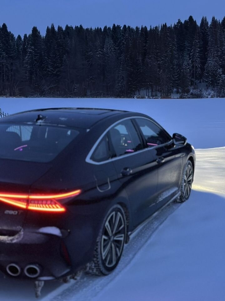 Chery Arrizo 8: фото владельца