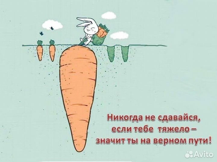 Банки стеклянные 3 литра