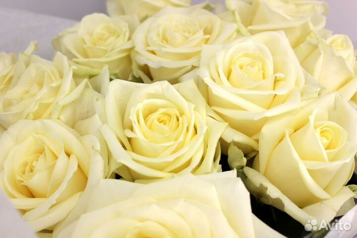 Букет из роз