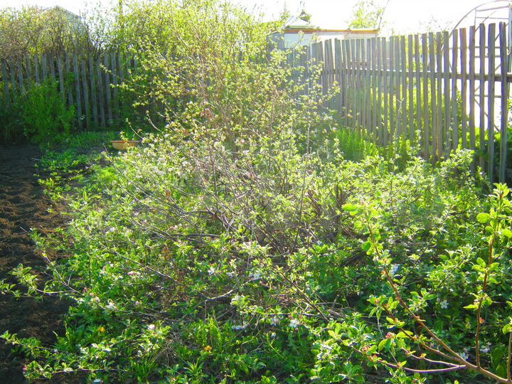 Дача 42 м² на участке 10 сот.