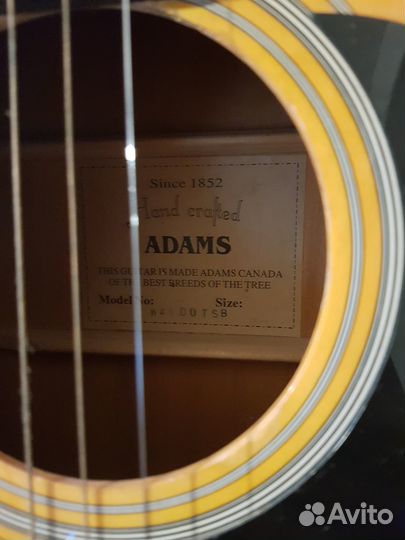 Гитара Adams W4100