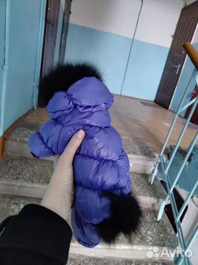 Комбинезон для собаки