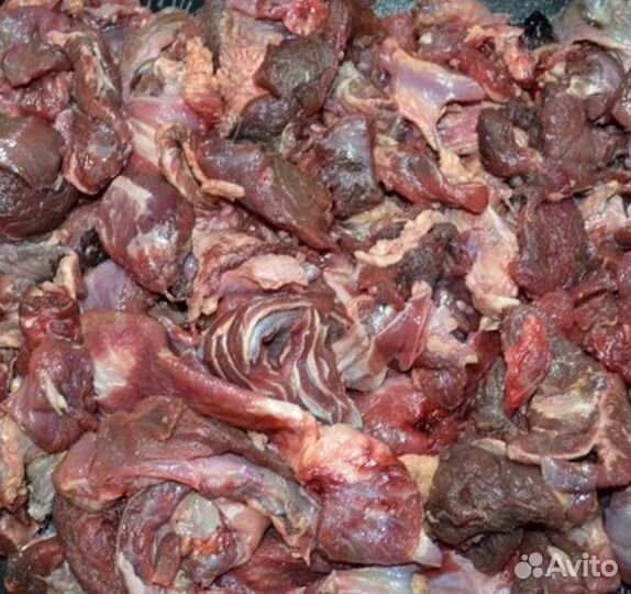 Мясо говядина для собак