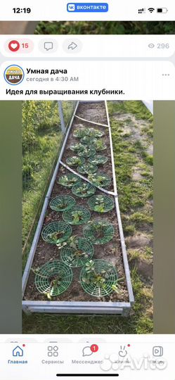 Кустодержатель для клубники (набор из 10 шт.)