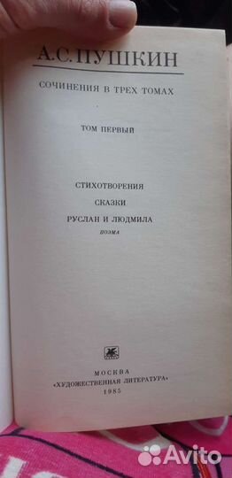 Пушкин А.С. Цена за все. Отправлю