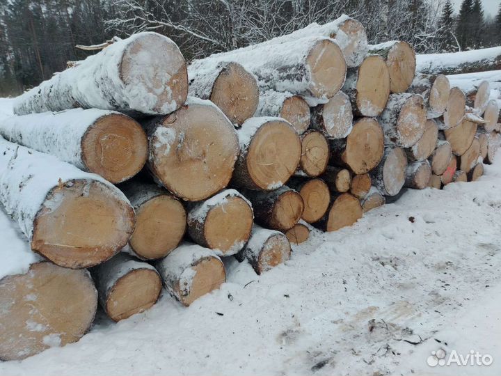 Лес кругляк пиловочник без посредников
