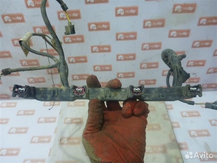 Проводка топливных форсунок Ford Focus DFW eydk