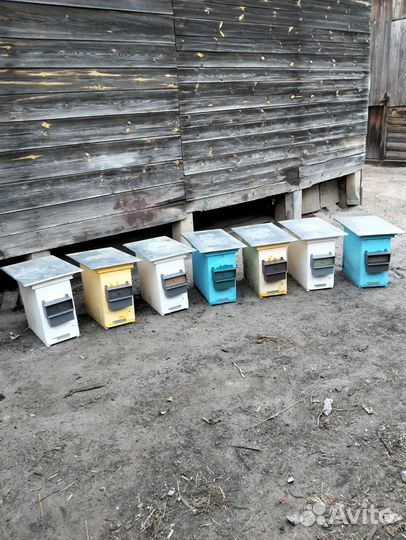 Нуклеусы(ульи) на 6 рамок дадан