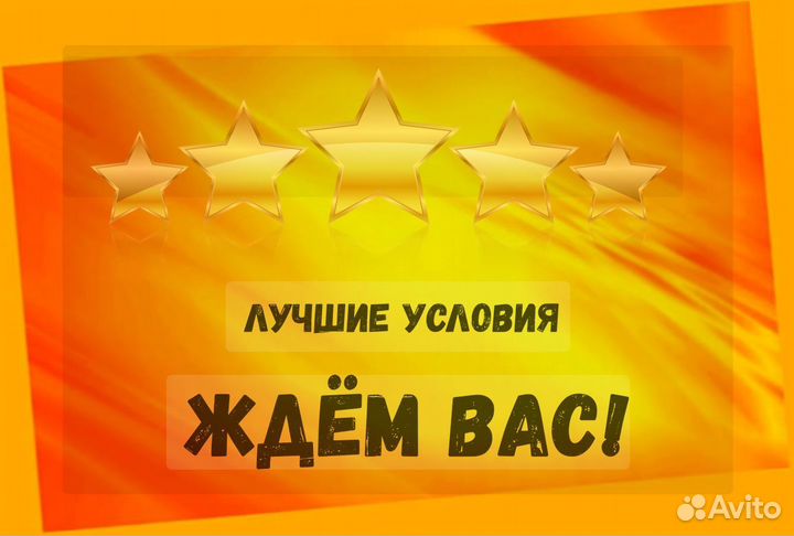 Наборщик заказов Без опыта Еженедельные выплаты