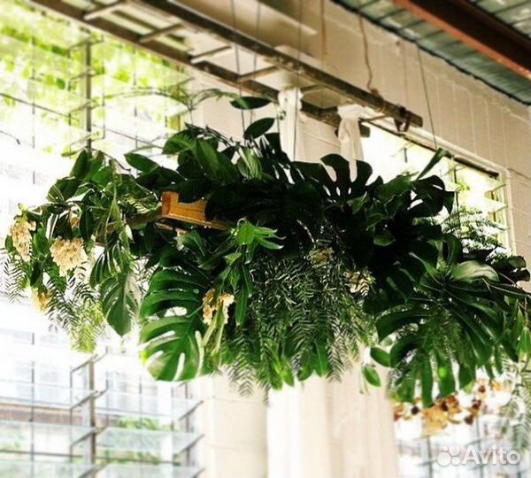 Мох.Картины. Соты.Озеленение.Фитостена.Дизайн