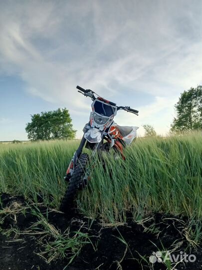 Kayo tt125 basic