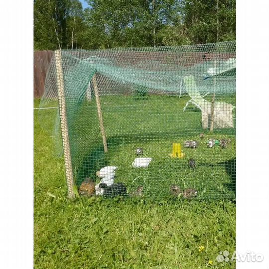 Сетка пластиковая садовая