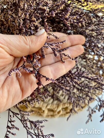 Кермек стабилизированный в ассортимерте