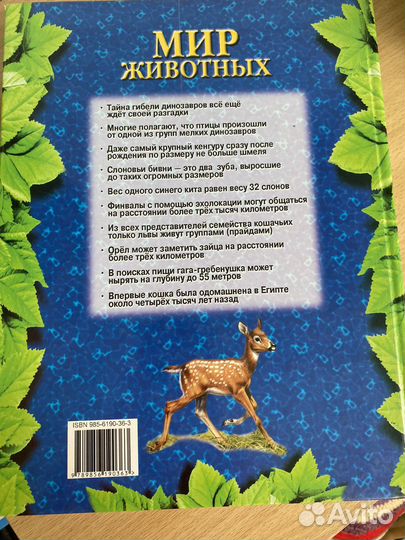 Книга Мир животных