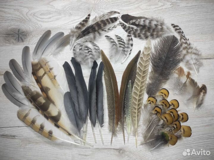 Наборы перьев
