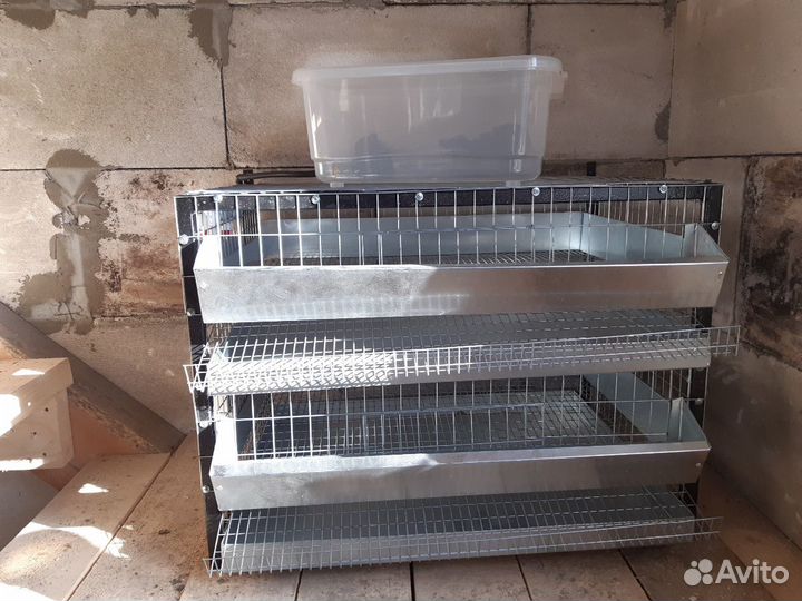 Клетка для перепелов на 50-60 голов