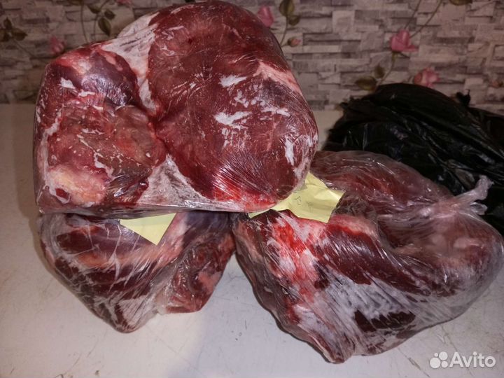Продам мясо говядина