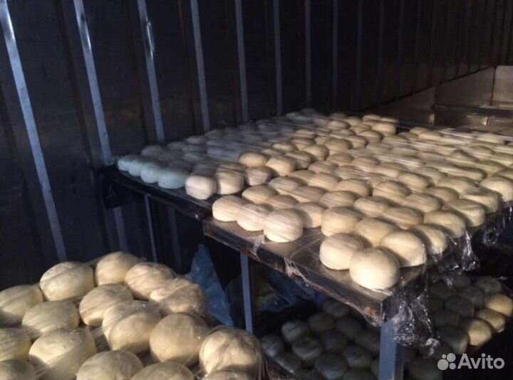 Сыр сулугуни опт