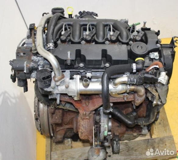 Двигатель Ford 2.0 qxwb