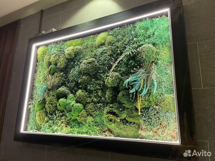 Картина из стабилизированного мха