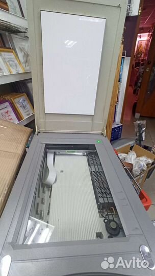 Сканер HP Scanjet 6100c