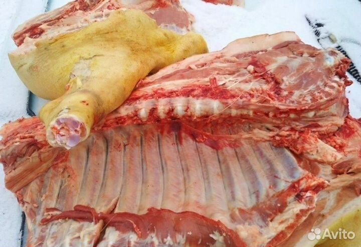 Мясо свинина