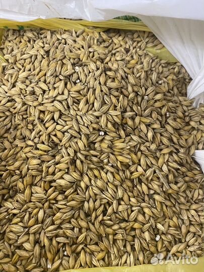 Жмых рапс, пшеница,соя пэс,овес