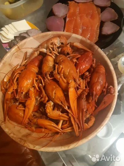 Живые раки