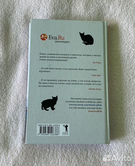 Уличный кот по имени Боб