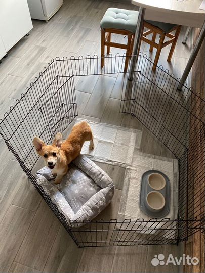 Клетка для собаки бу