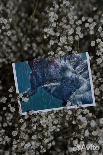 Смотри, динозавры, наклейки