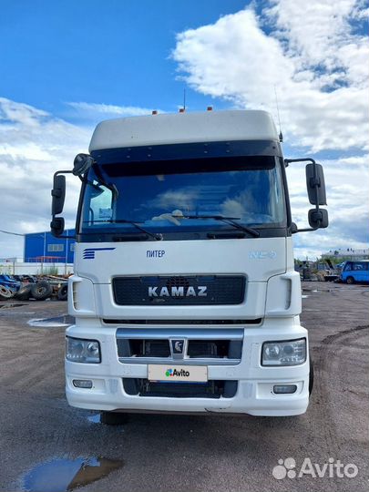 КамАЗ 5490 NEO, 2019