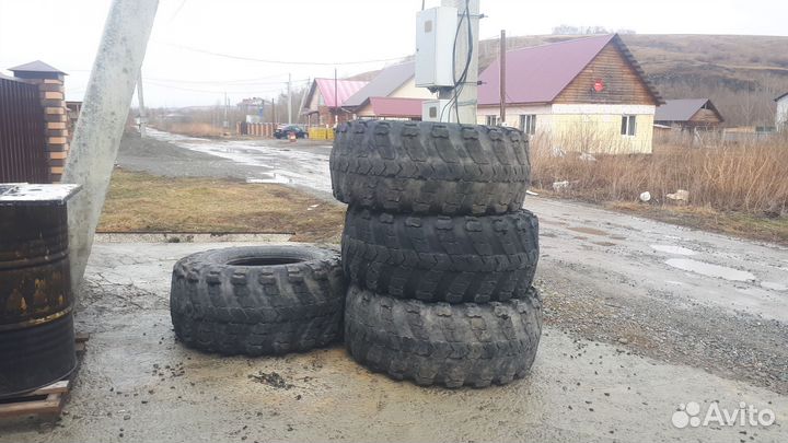 Шины на сокол