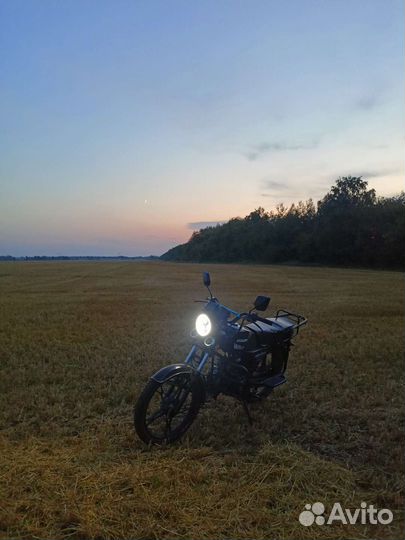 Alpha Wels Truespirit 110cc