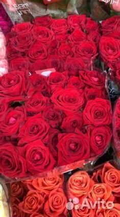 Розы роза букет роз 101 роза доставка цветов