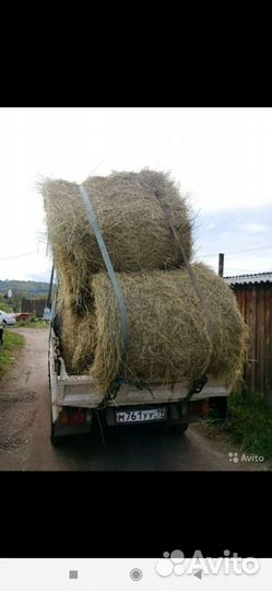 Сено в рулонах