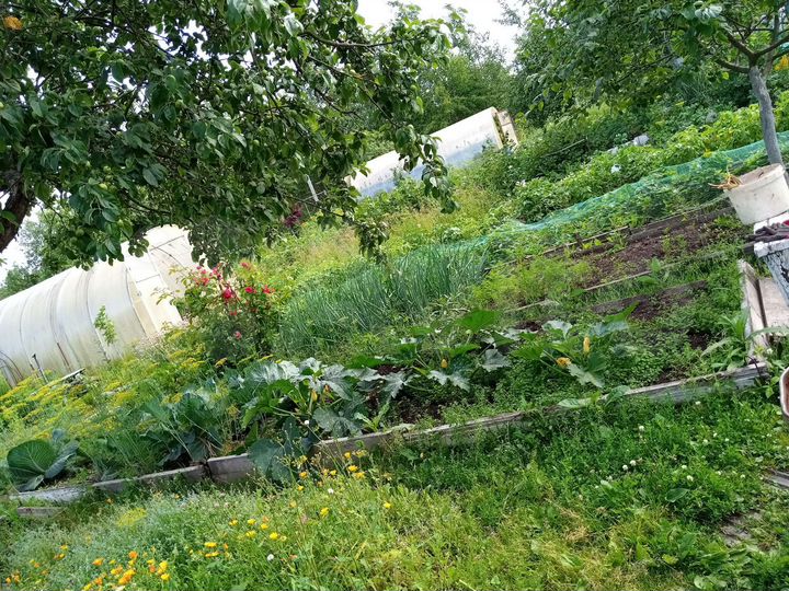 Дом 25 м² на участке 4,6 сот.