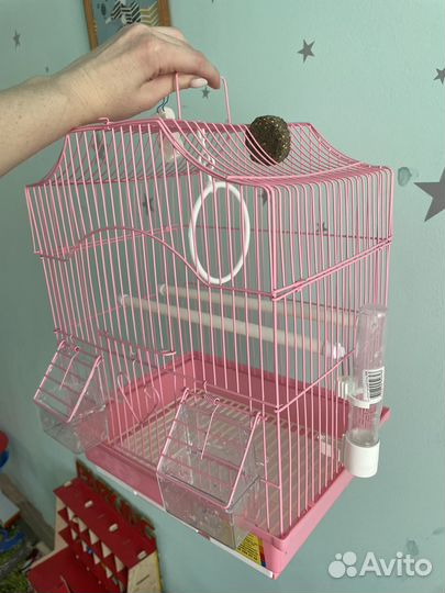 Клетка для попугая