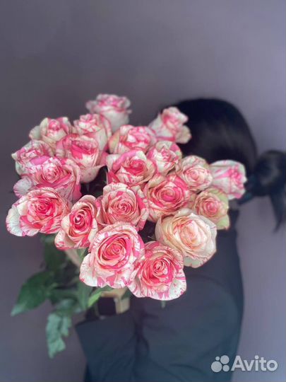Роза мраморная