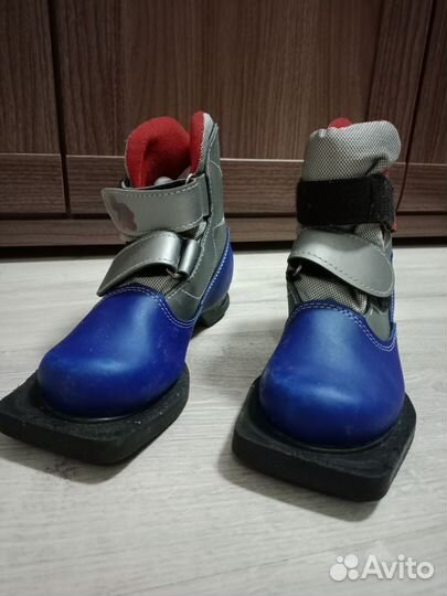 Лыжные ботинки