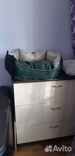 Лежанка для животных