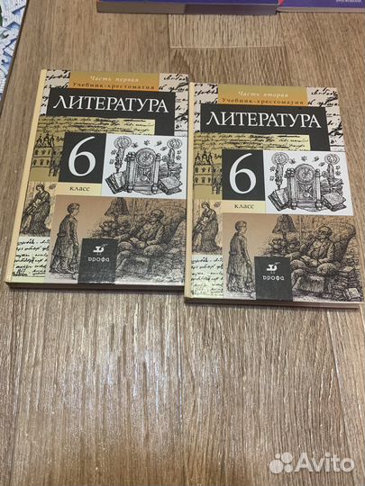 Учебник литература 6 класс