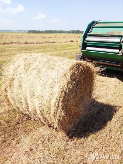 Сено в тюках